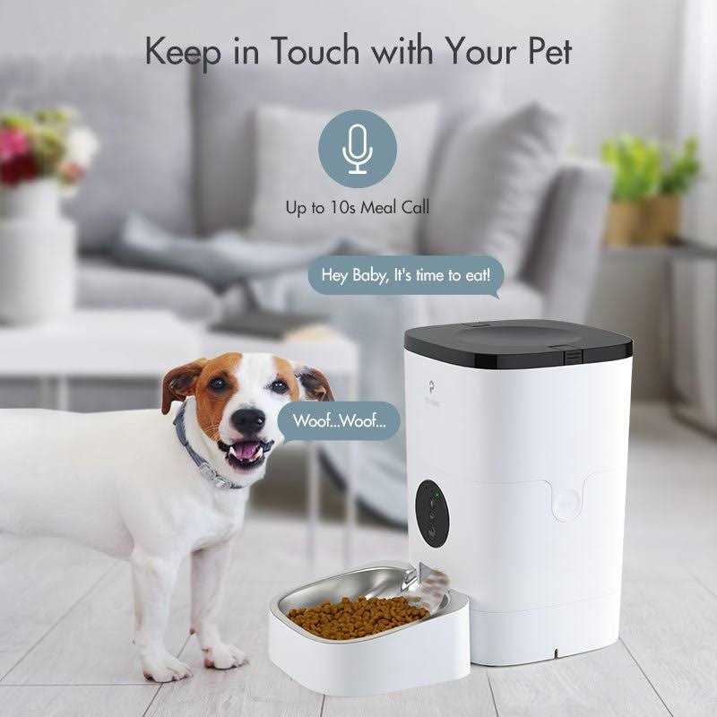 Automatic Cat Food Dispenser B631