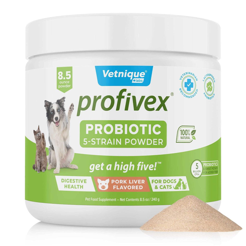Probiotic Powder for Dogs & Cats J383981
