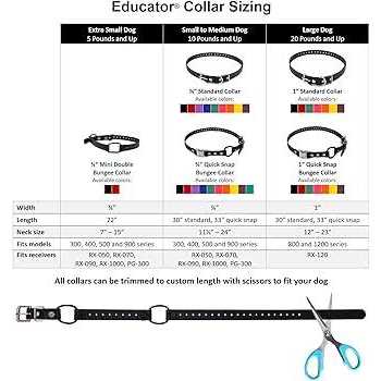 Bungee Collar M30119