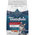 Adult Dry Cat Food Brown Rice R921