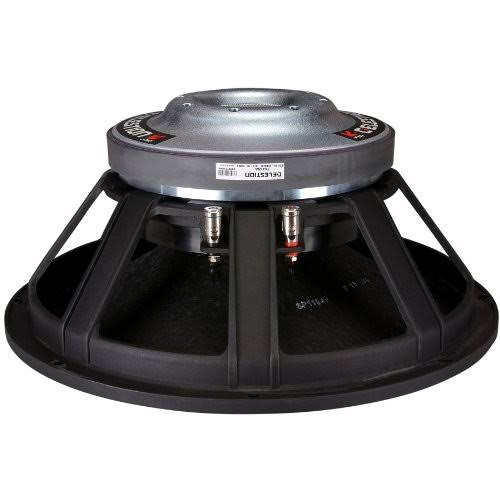 15x22 1000W Raw Frame Speaker B387834