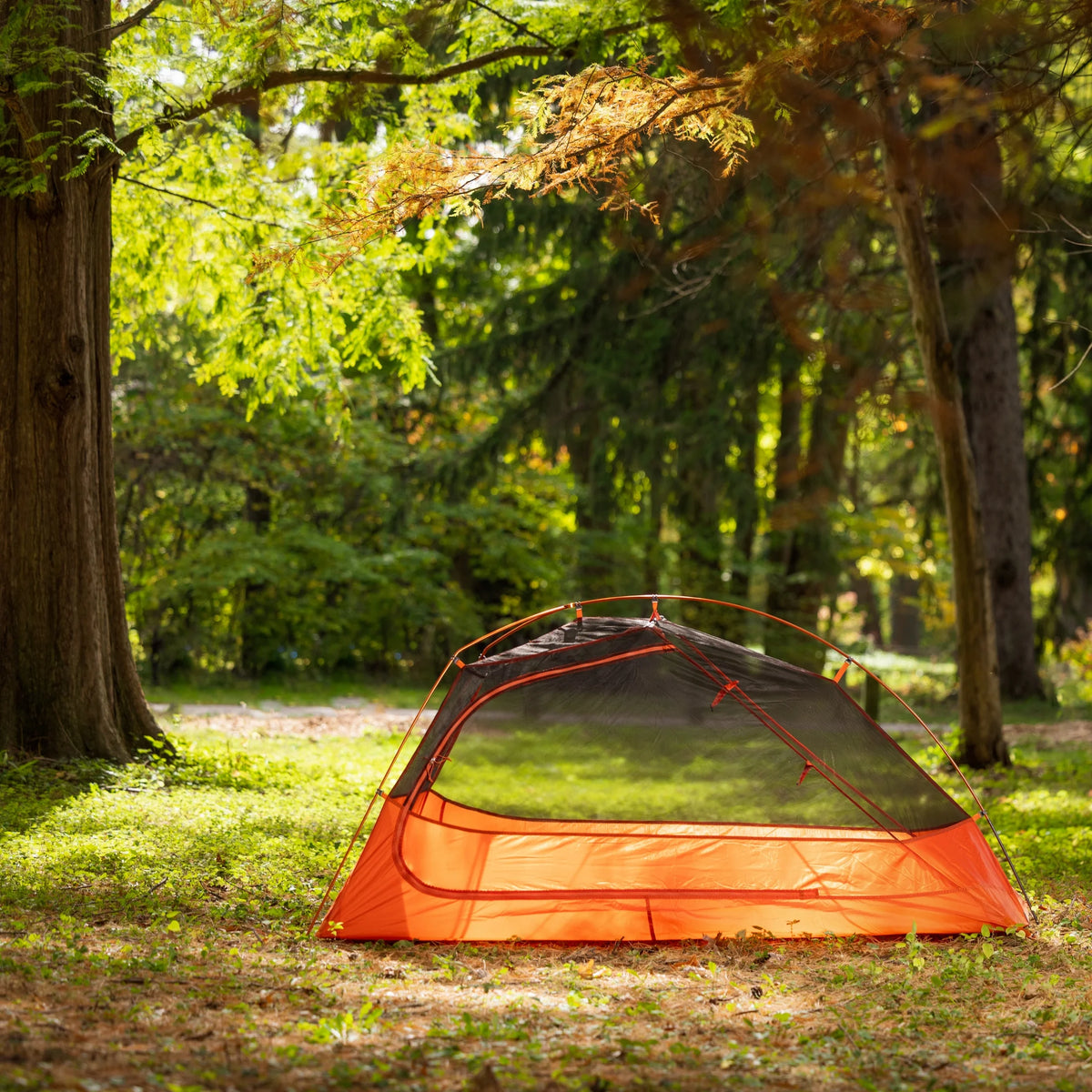 1-Person Lightweight Backpacking Tent, Orange T40920