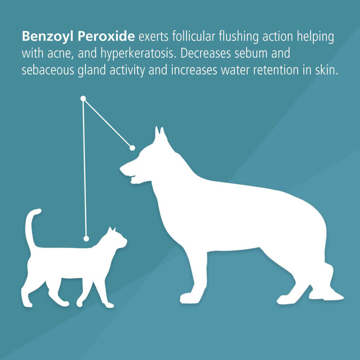 Benzoyl Peroxide Dog & Cat Shampoo D2412