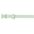 Dog Collar W5995