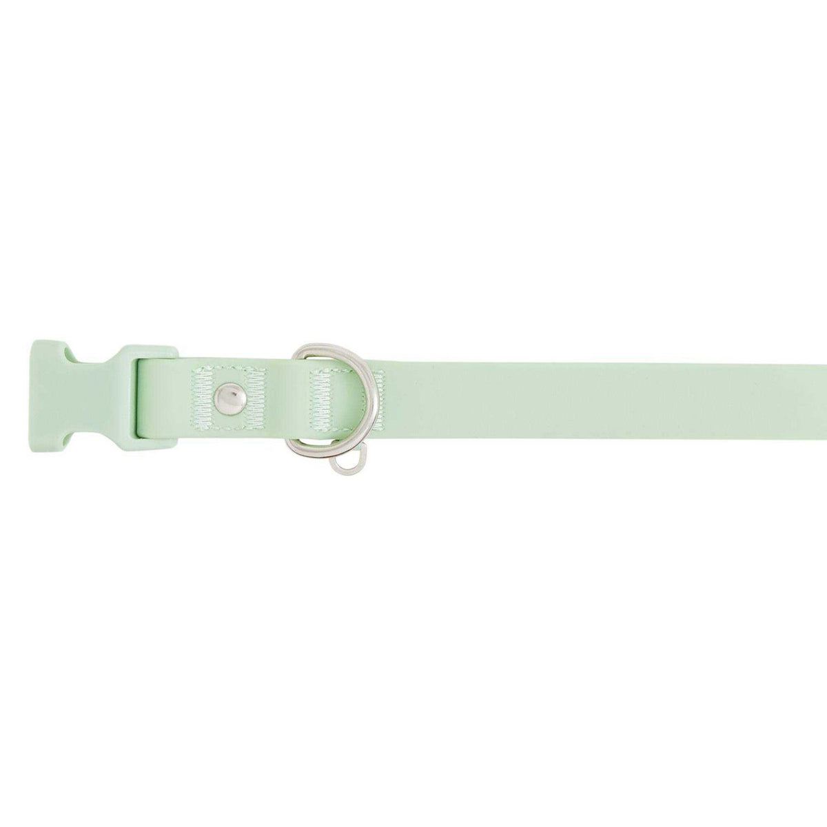 Dog Collar W5995
