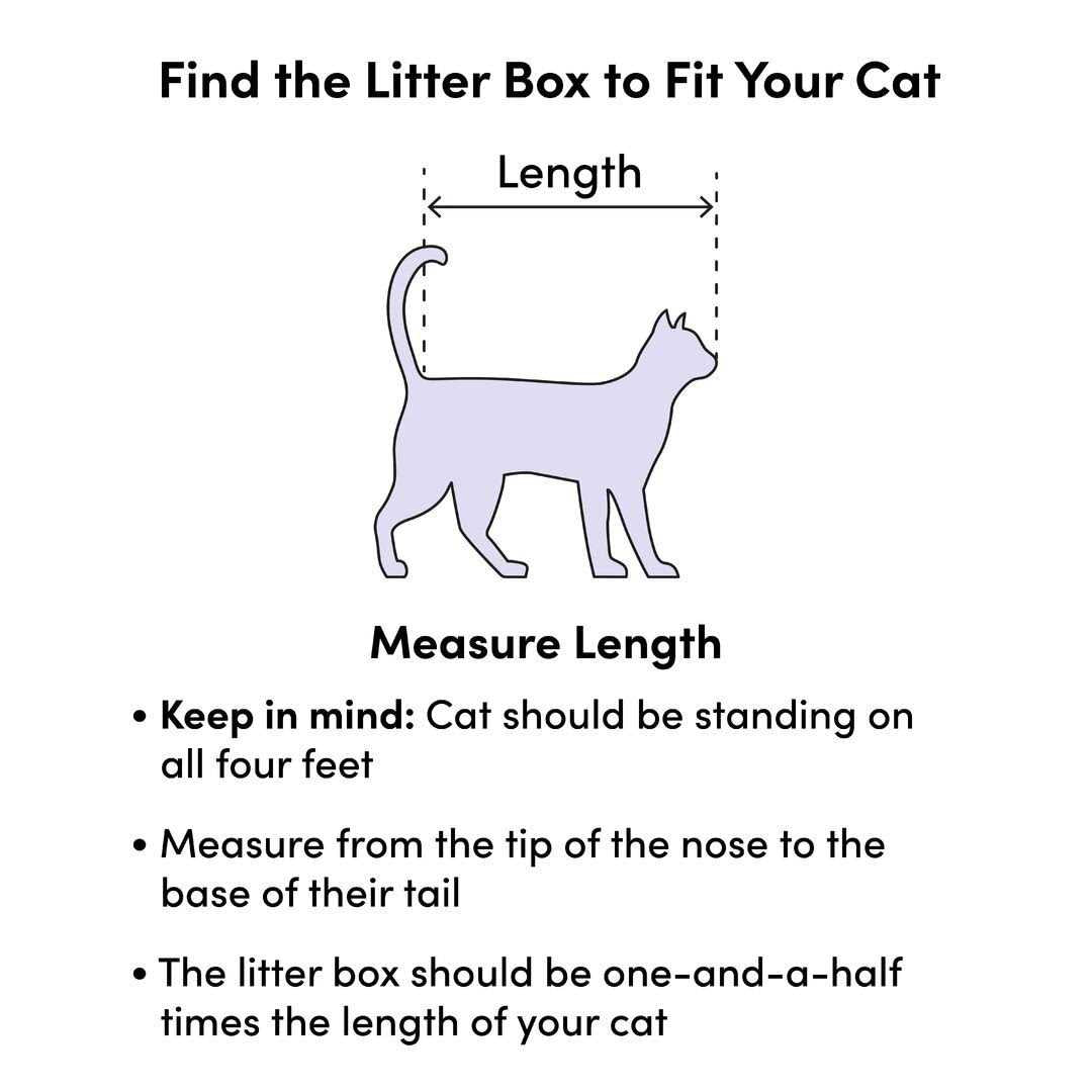 Disposable Cat Litter Box F755
