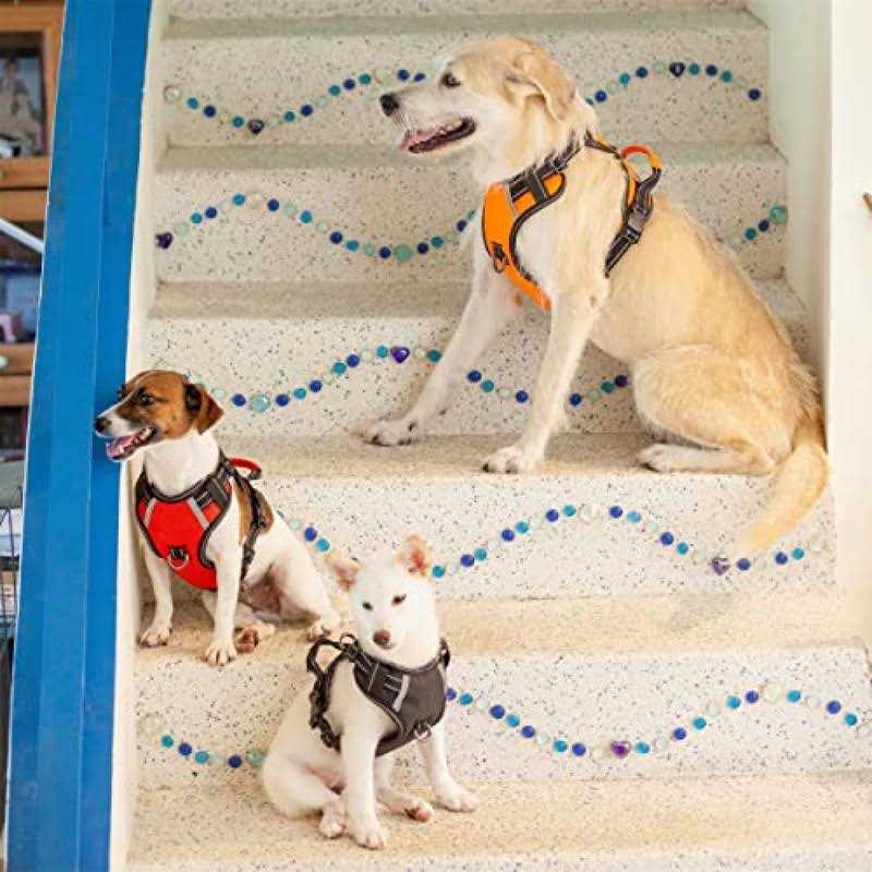 Adjustable Reflective Oxford Dog Harness with 5ft Dog Leash X27856