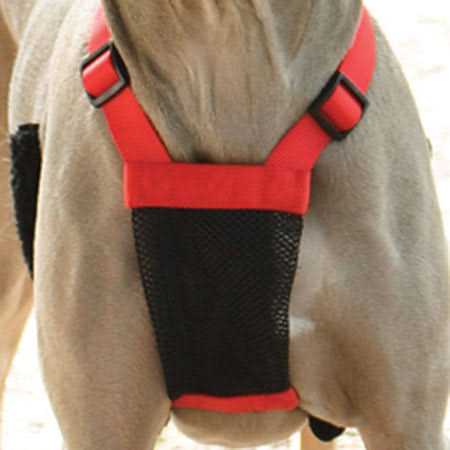 Mesh Non Pull Dog Harness U3477