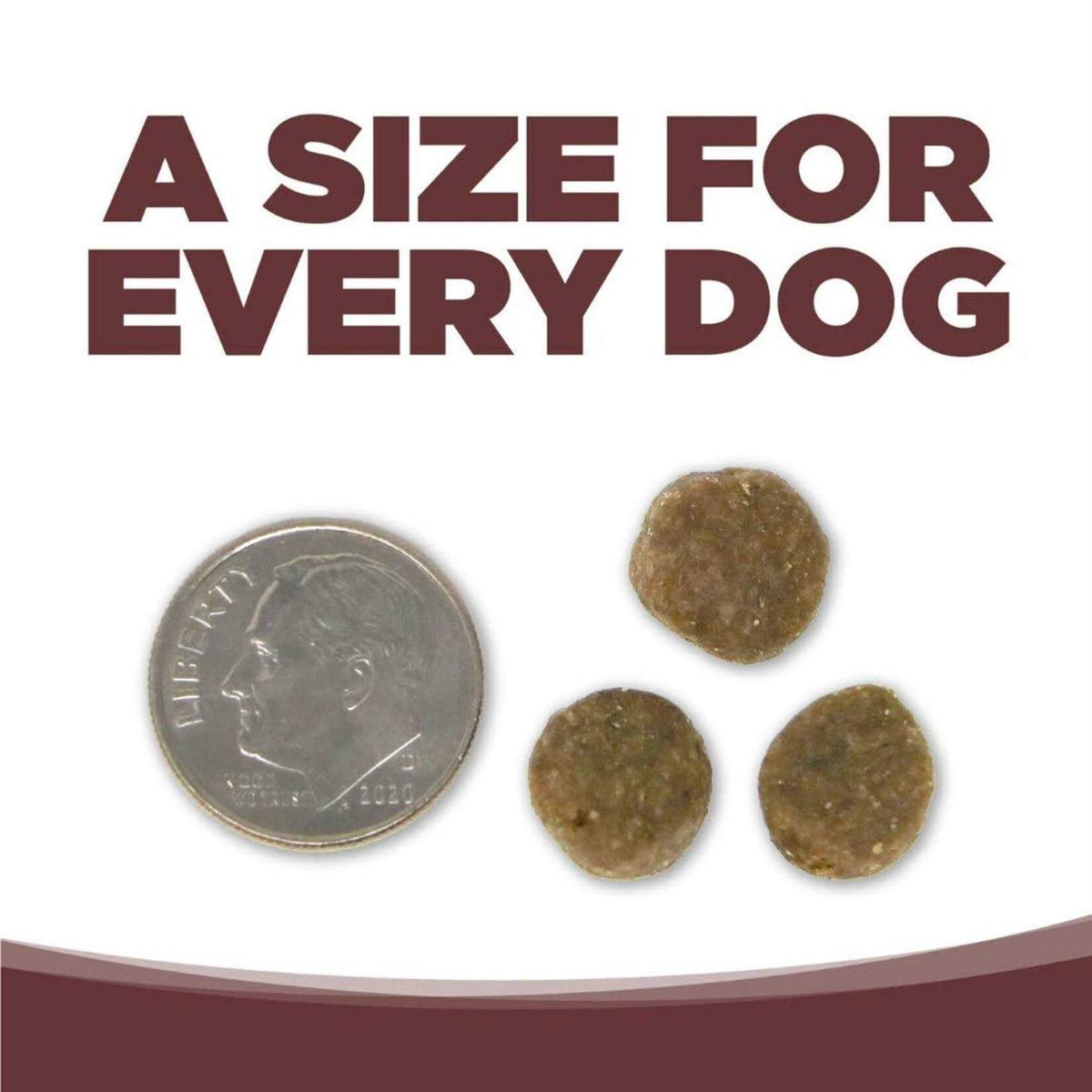 Grain Free Dry Dog Food C40602
