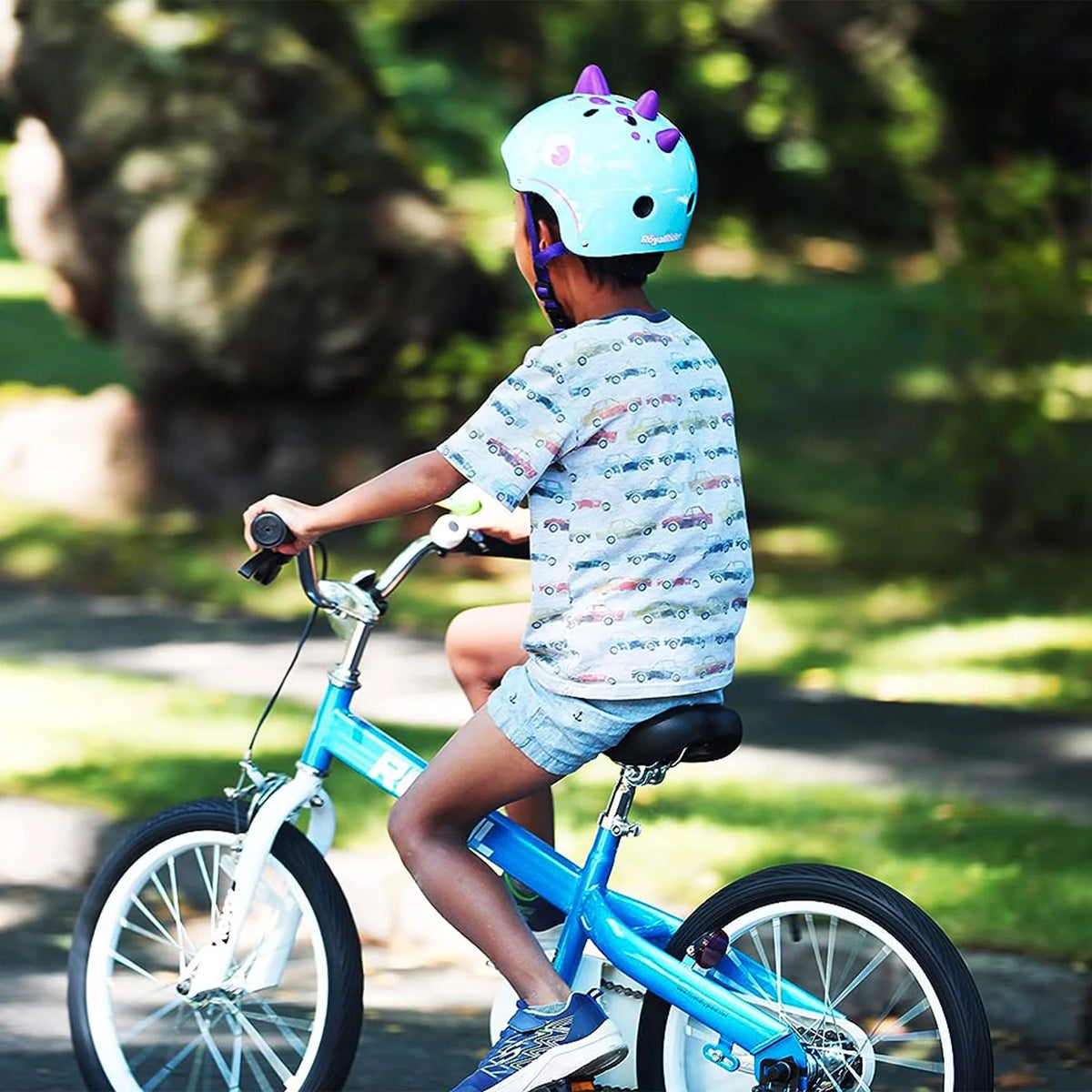 Blue Kids Bike with Training Wheels & Coaster Brake N9056