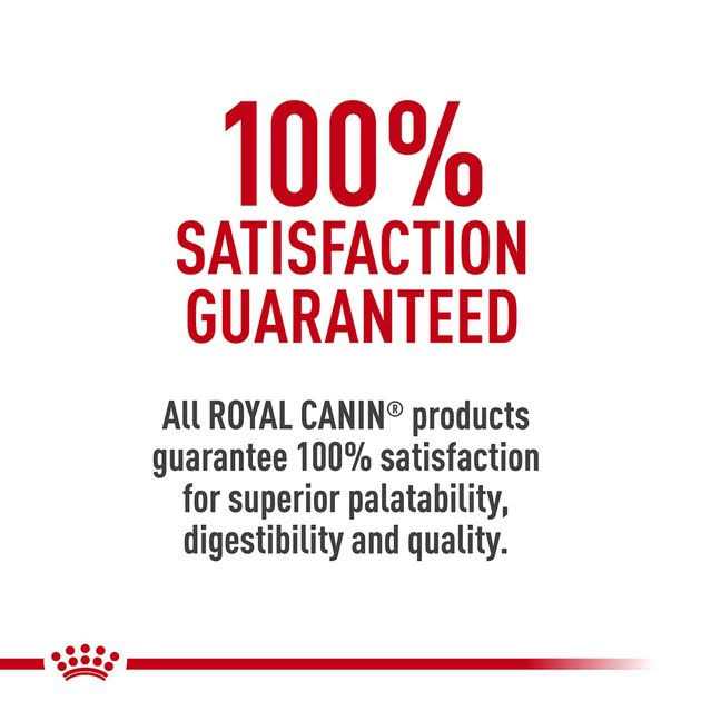 Hydrolyzed Protein Feline Treats A872