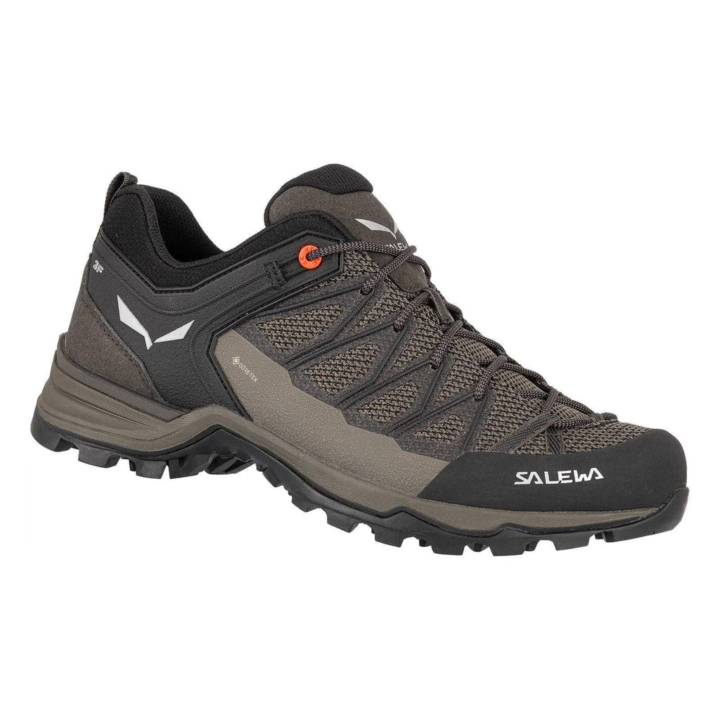 Mountain Trainer Lite GTX 11 S34221