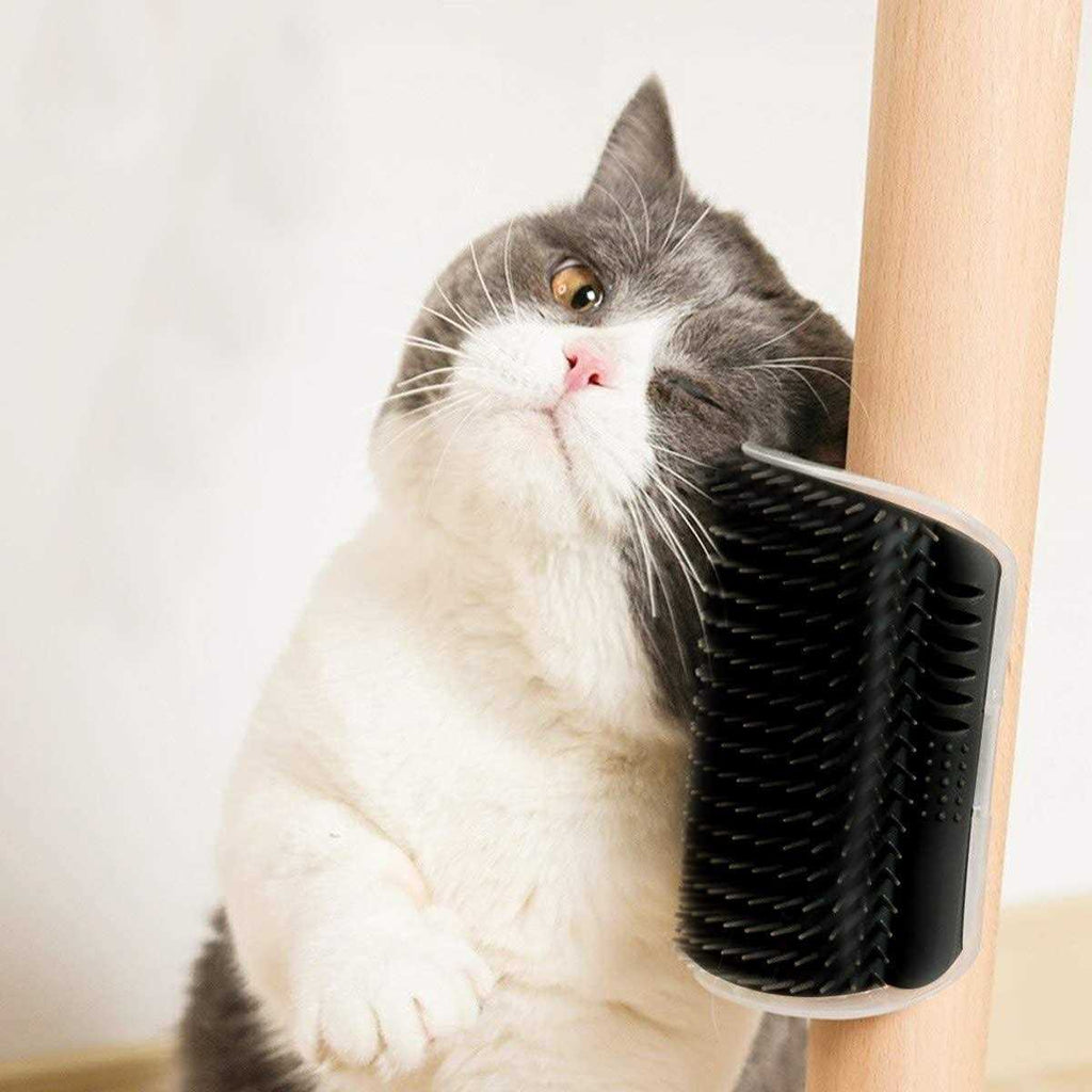 2 Pack Cat Self Groomer Wall Brush with Catnip R435646