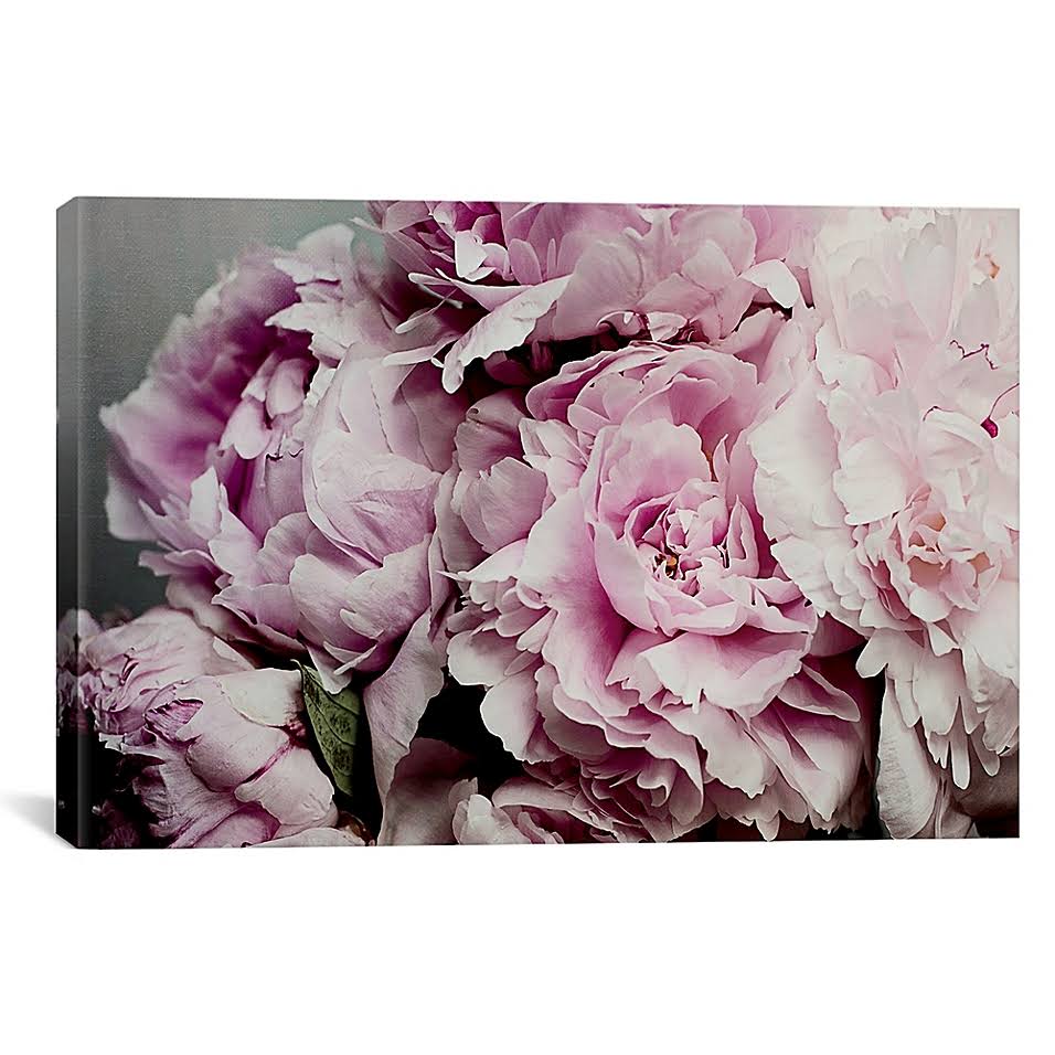 Peonies Galore II W338358