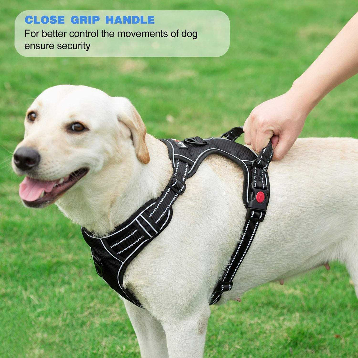 Adjustable Reflective Oxford Dog Harness with 5ft Dog Leash X27856