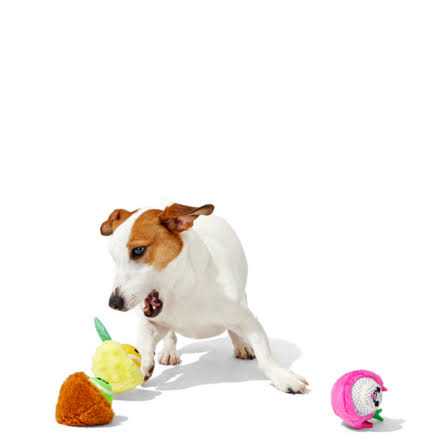Dog Toys Squeaker Ball Toys Y9162
