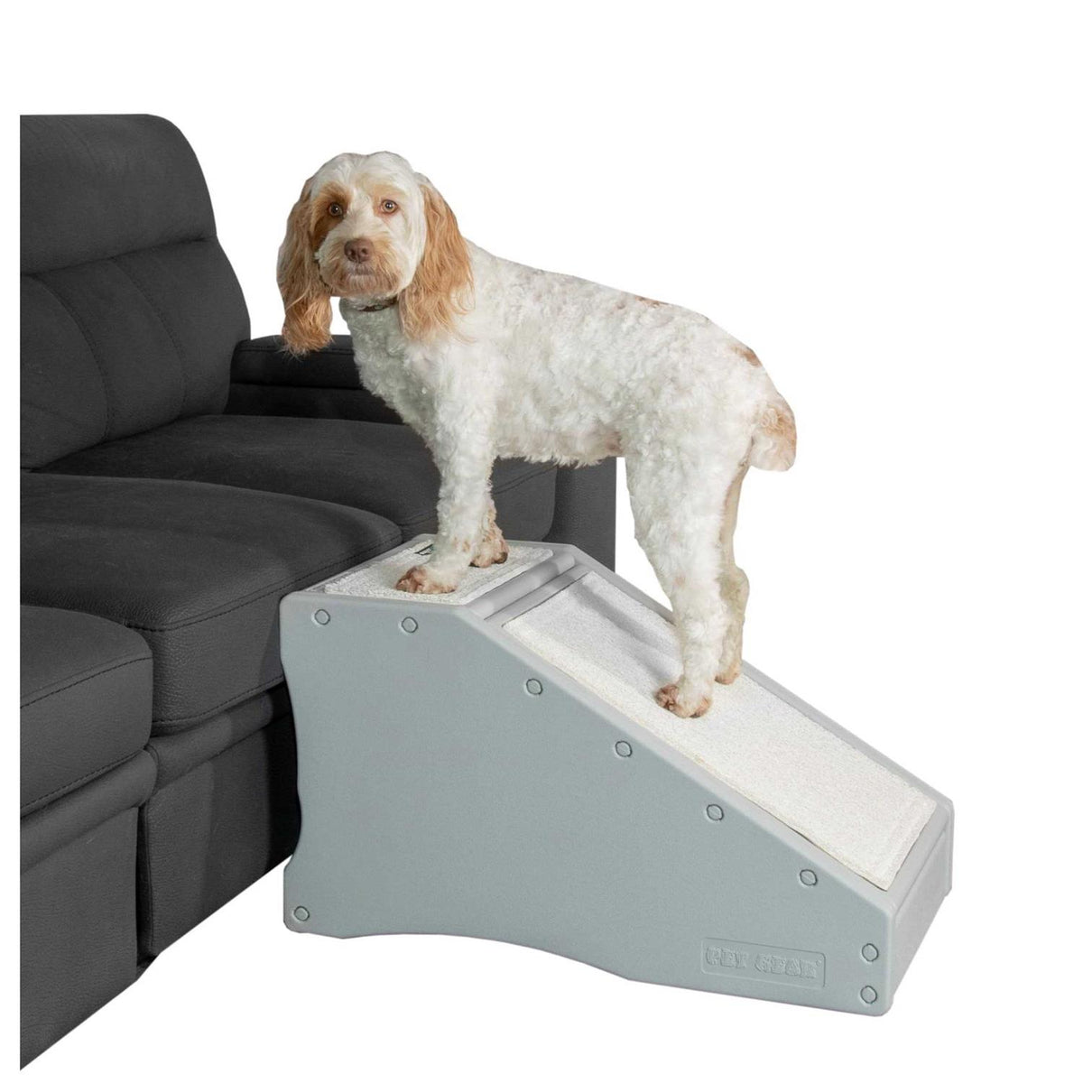 Pet Gear Step / Ramp Combination L250905