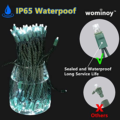 25ft 50 Counts Cool White LED Christmas Lights Outdoor Waterproof Green Wire N67580