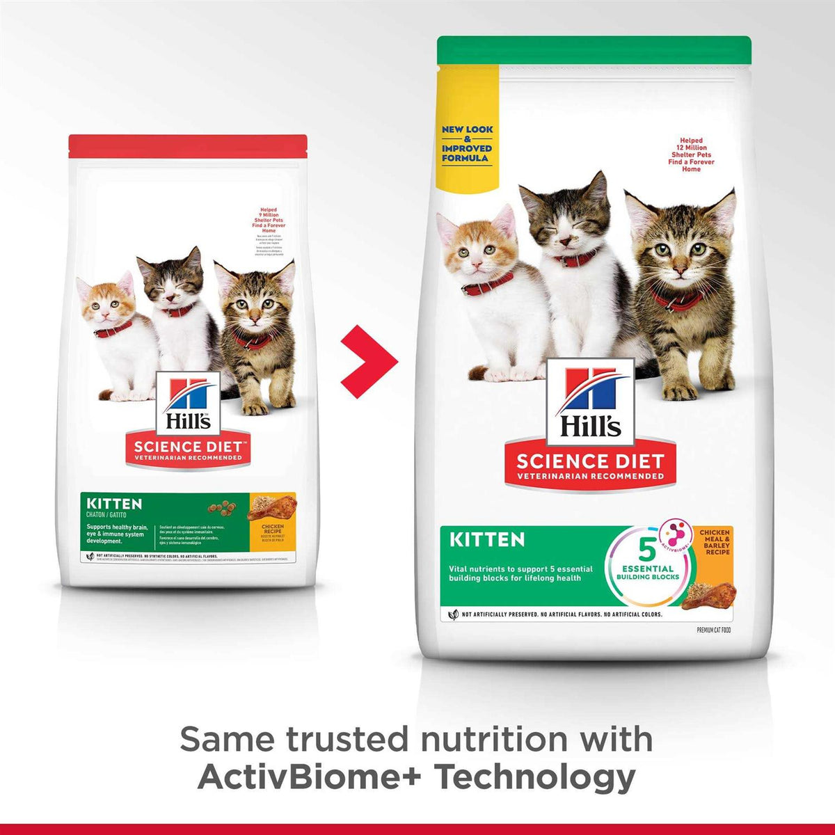 Indoor Kitten Dry Food H846854