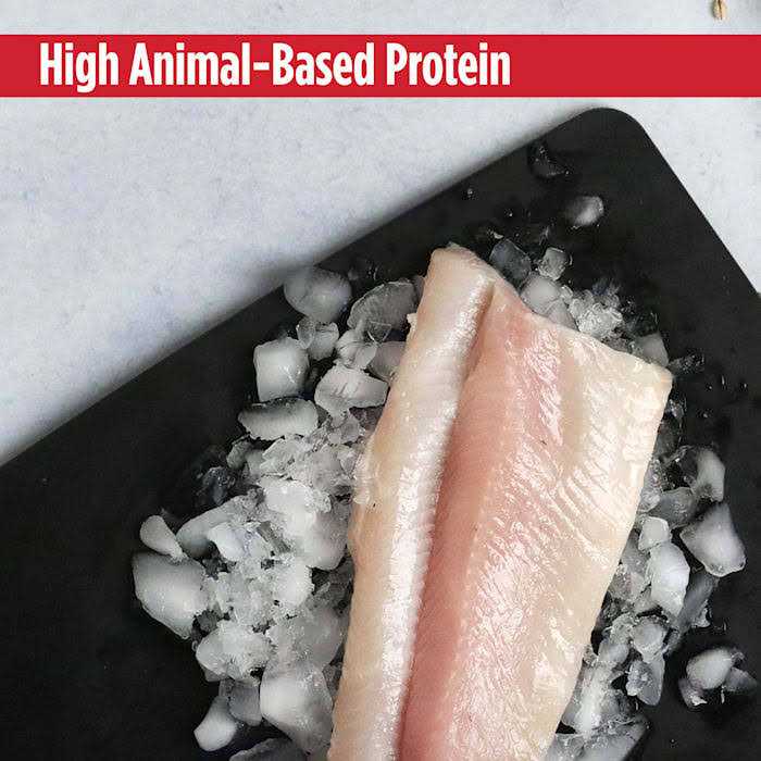 Grain Free Trout & Duck Dry Cat Food L576