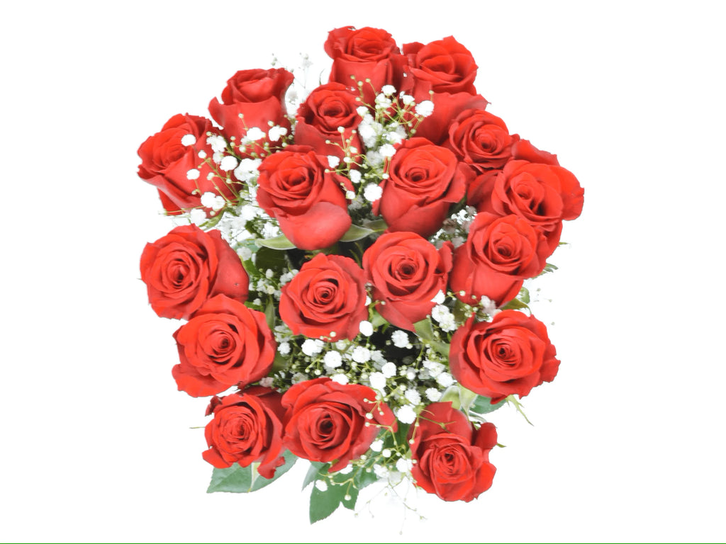 Fresh-Cut Red Roses with Glass Vase L438