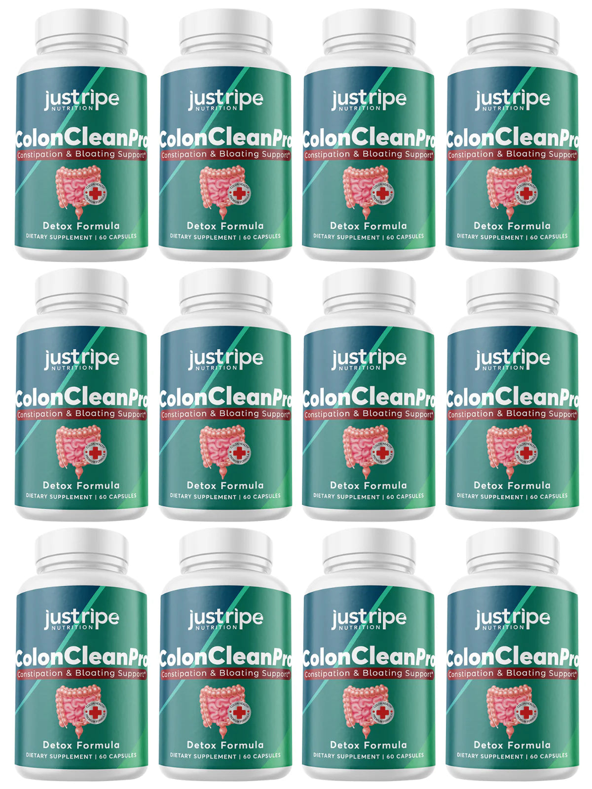 12 Pack Natural Digestive Support Supplement 60ct M818290