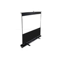Portable Projection Screen U547170
