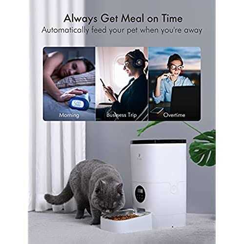 Automatic Cat Food Dispenser B631