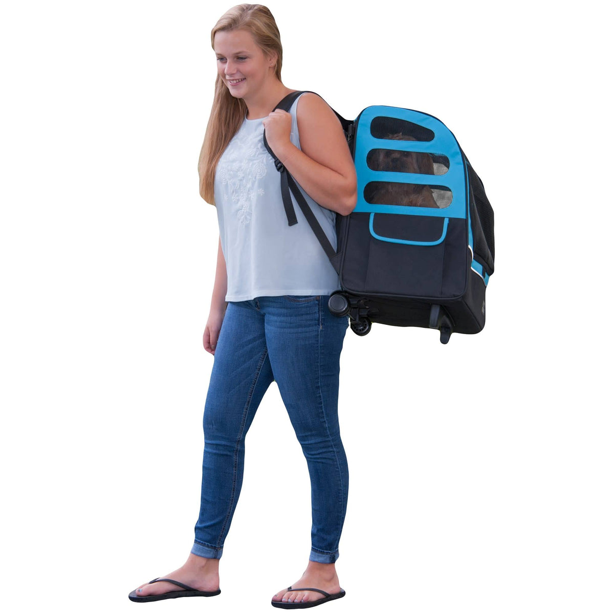 Ocean Blue Pet Carrier Z464