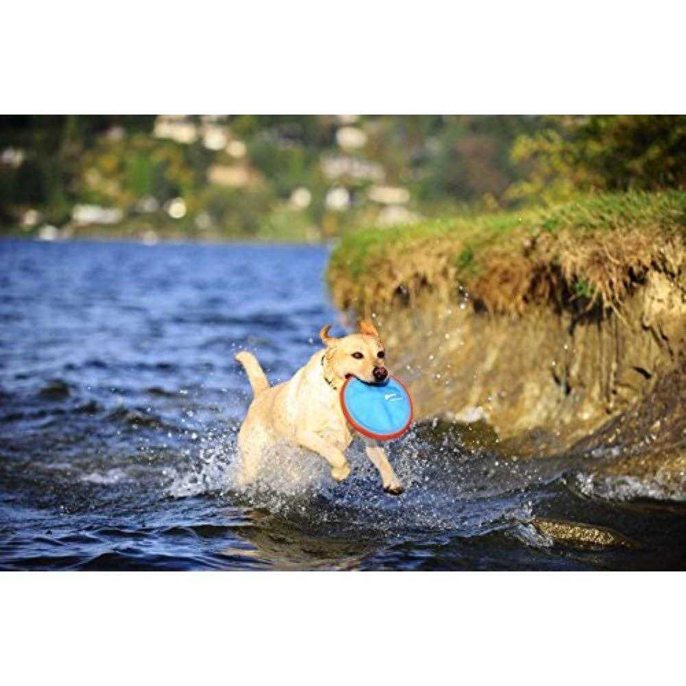 Dog Toy T1016