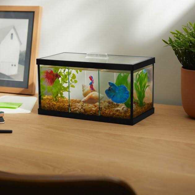 Betta Aquarium with Divider G4375