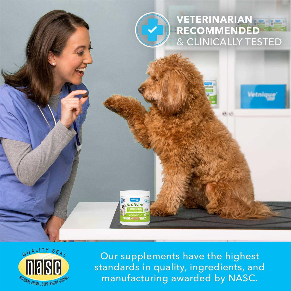 Probiotic Powder for Dogs & Cats J383981