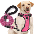 Adjustable Reflective Oxford Dog Harness with 5ft Dog Leash X27856