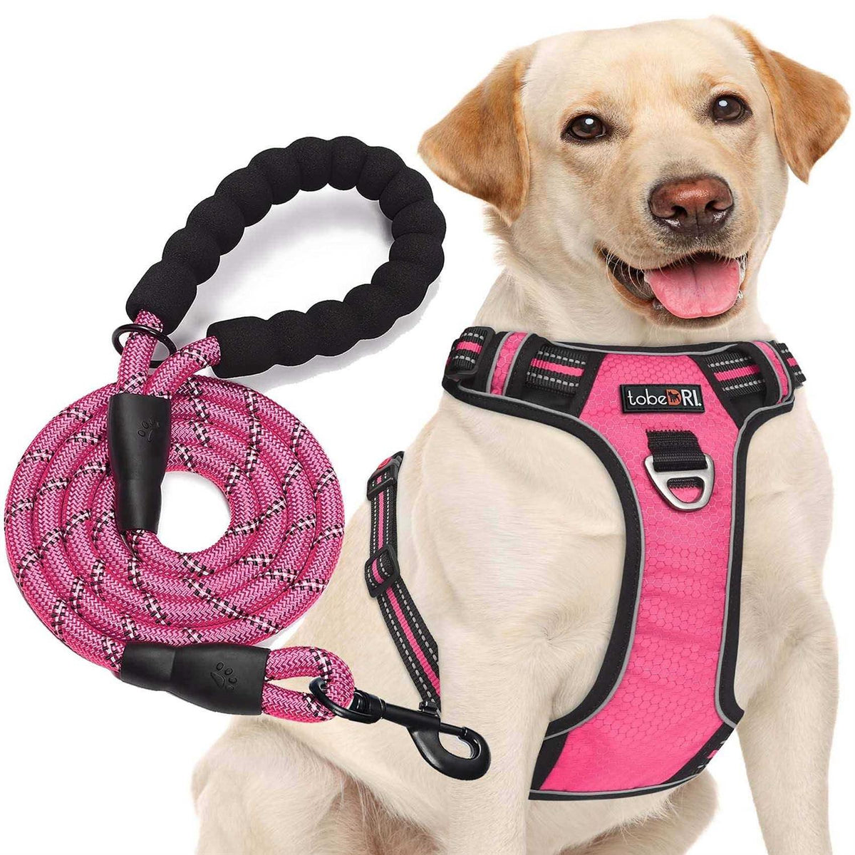 Adjustable Reflective Oxford Dog Harness with 5ft Dog Leash X27856