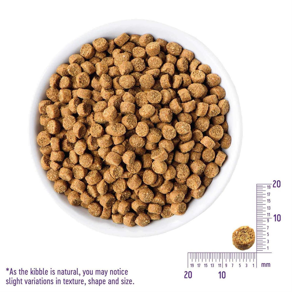 Grain-Free Indoor Salmon & Herring Meal Dry Cat Food H689540