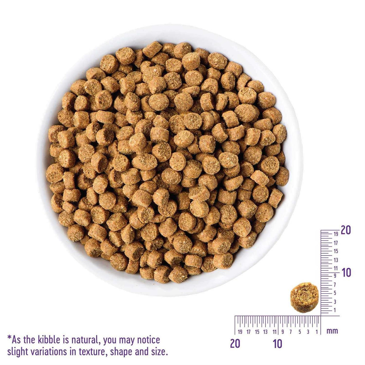 Grain-Free Indoor Salmon & Herring Meal Dry Cat Food H689540