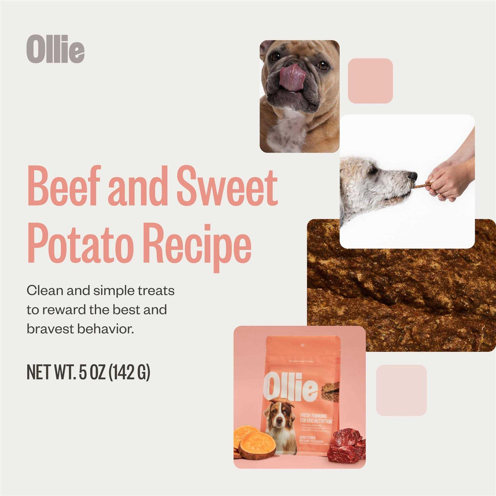Beef and Sweet Potato Dog Jerky Treats N272547