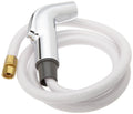 Chrome Spray and Hose Assembly L681