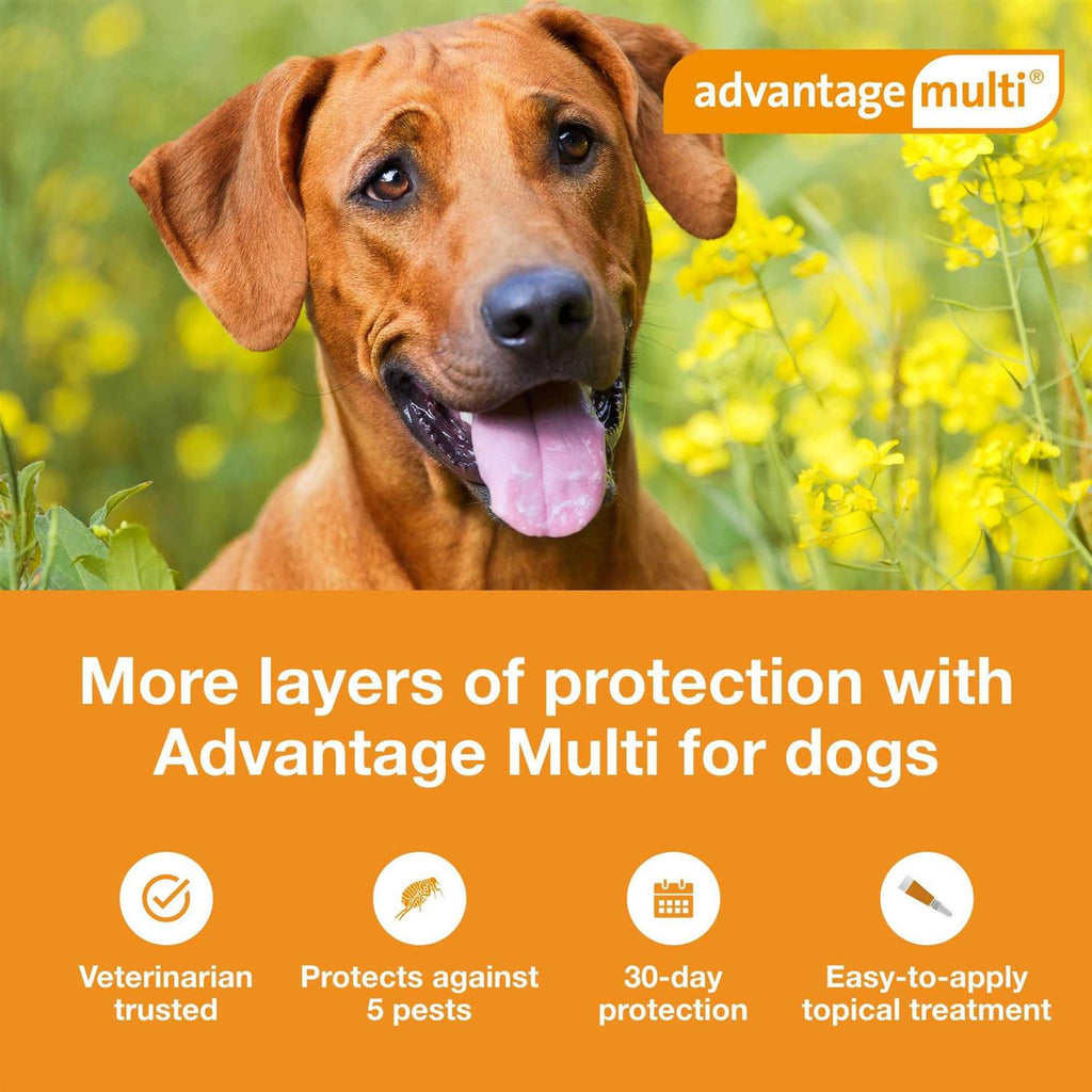 Advantage Multi for Dogs W6309
