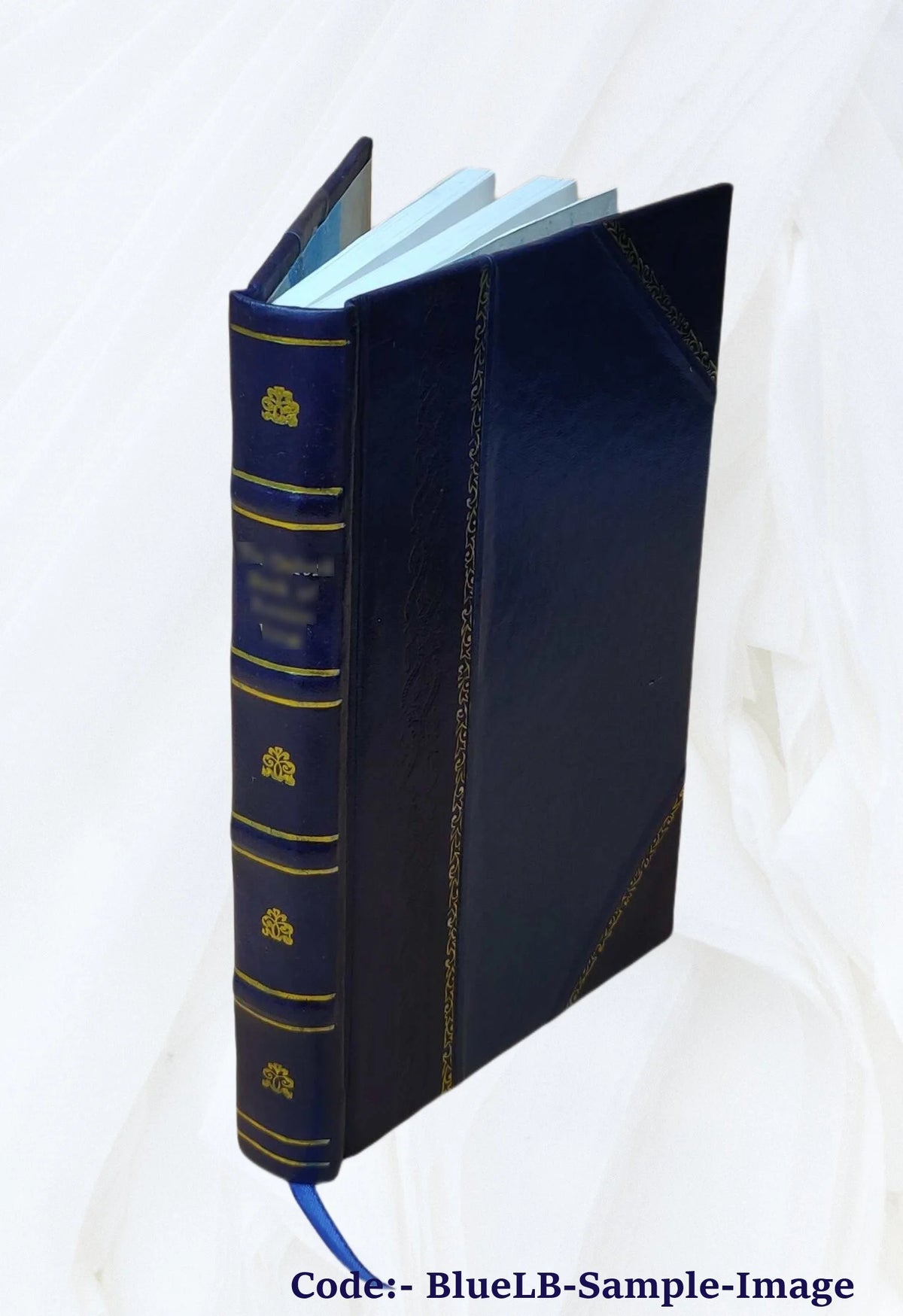 Leather Bound Book I975643