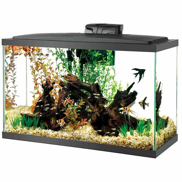 29 Gal Standard Aquarium L892165