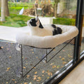 Cat Window Perch H818029