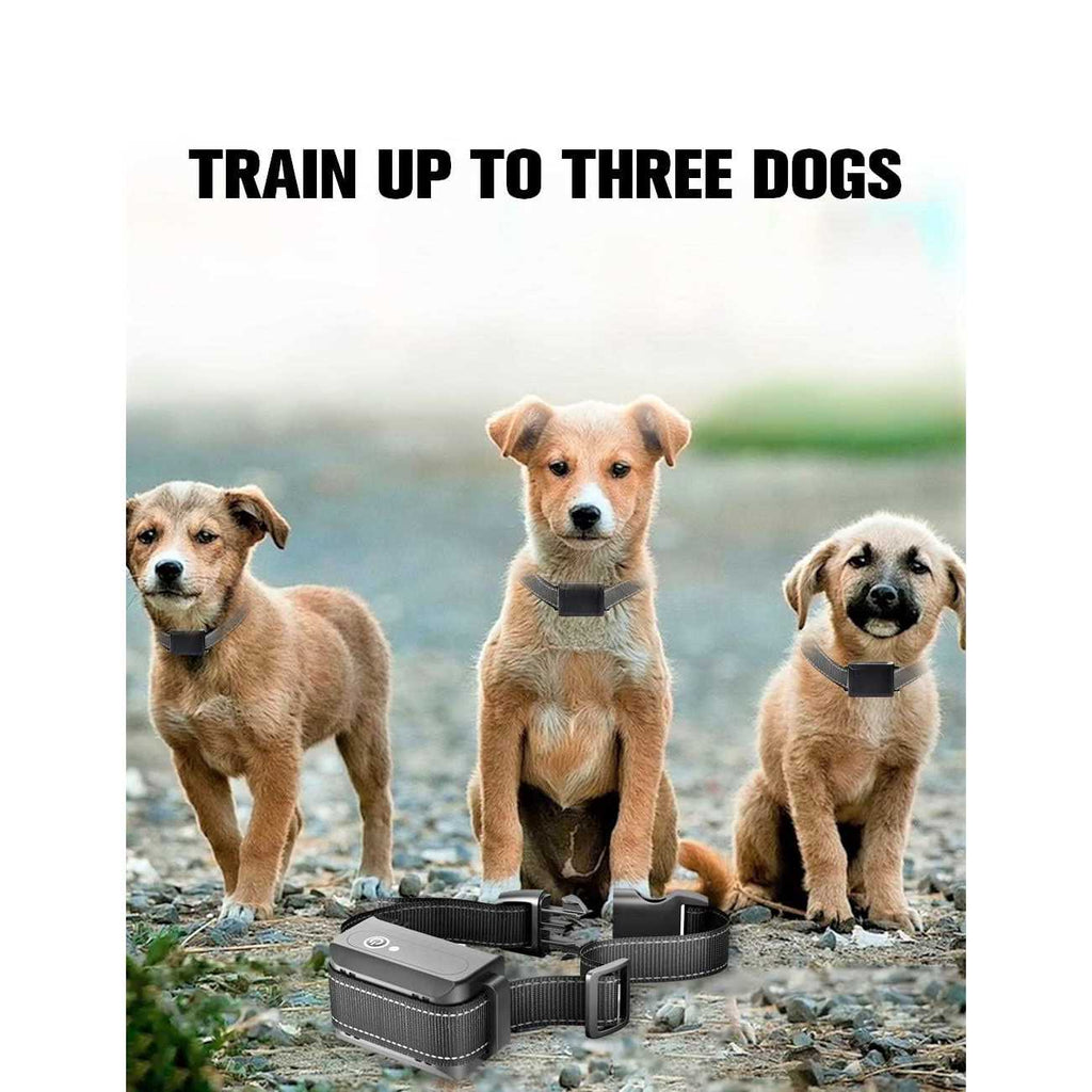 1100 Yard Auto Anti Bark Humane Beep V197