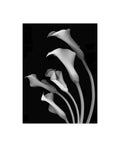 Black and White Canvas Art 35 in. W x 47 in. H R72641