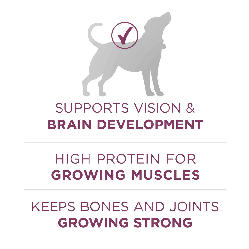 High Protein Dry Dog Food B158921