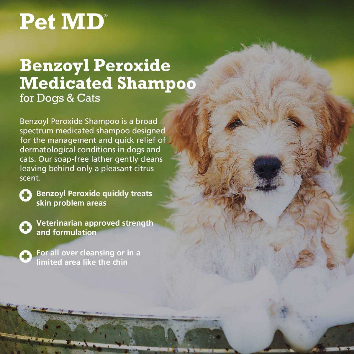 Benzoyl Peroxide Dog & Cat Shampoo D2412