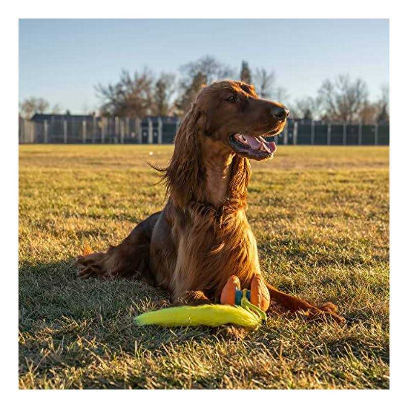 Replacement Tails Dog Toy Z355446