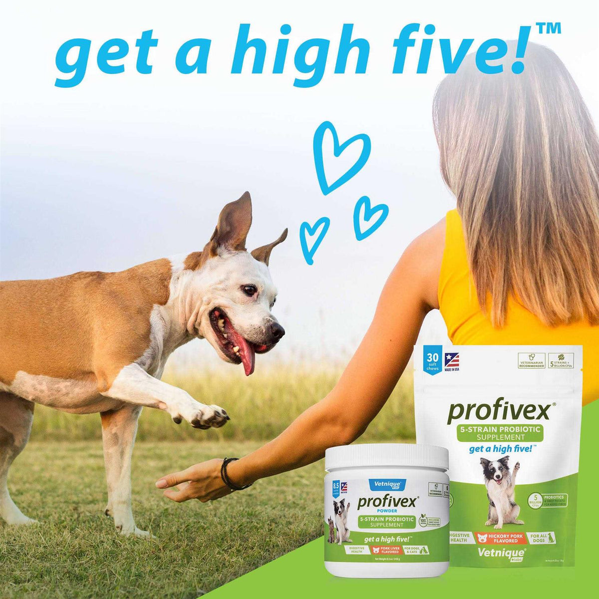 Probiotic Powder for Dogs & Cats J383981