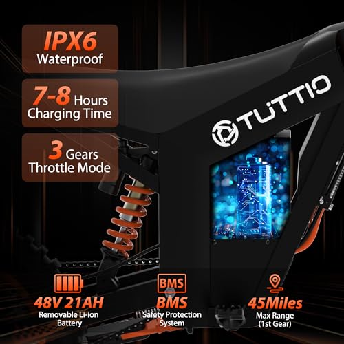 14"/12" Fat Tire 2000W Electric Dirt Bike with 48V 21AH Battery N39419