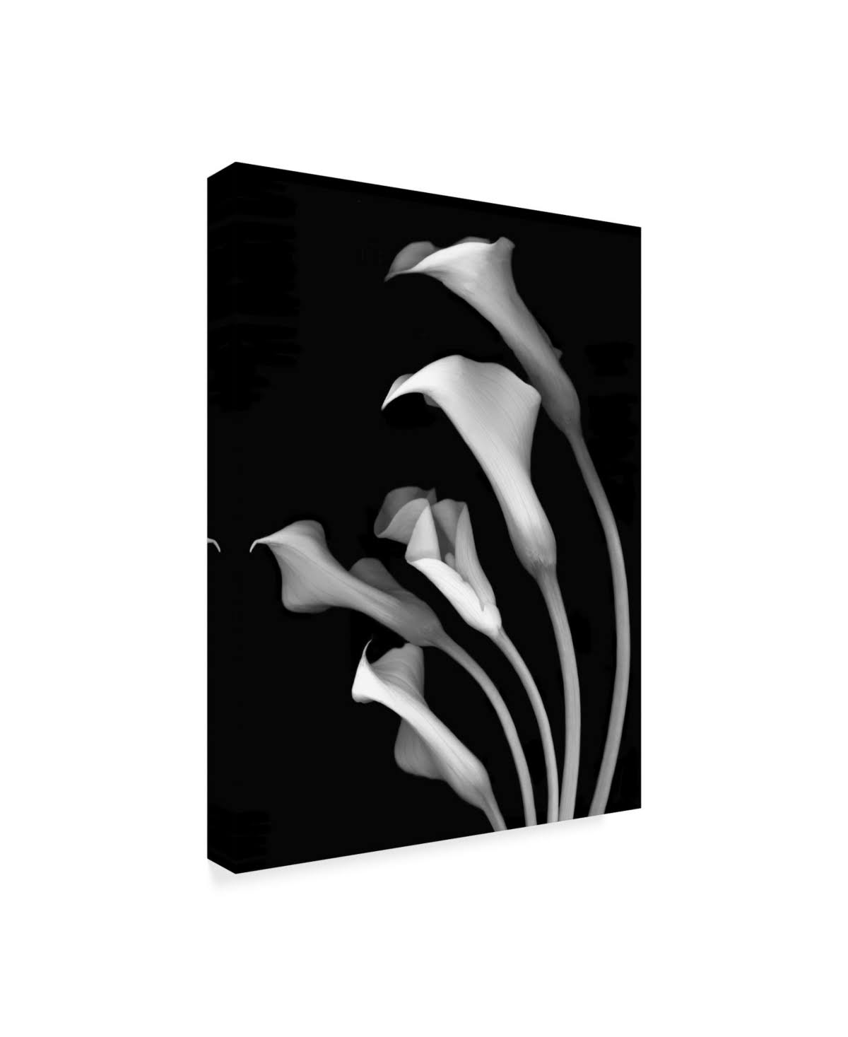 Black and White Canvas Art 35 in. W x 47 in. H R72641